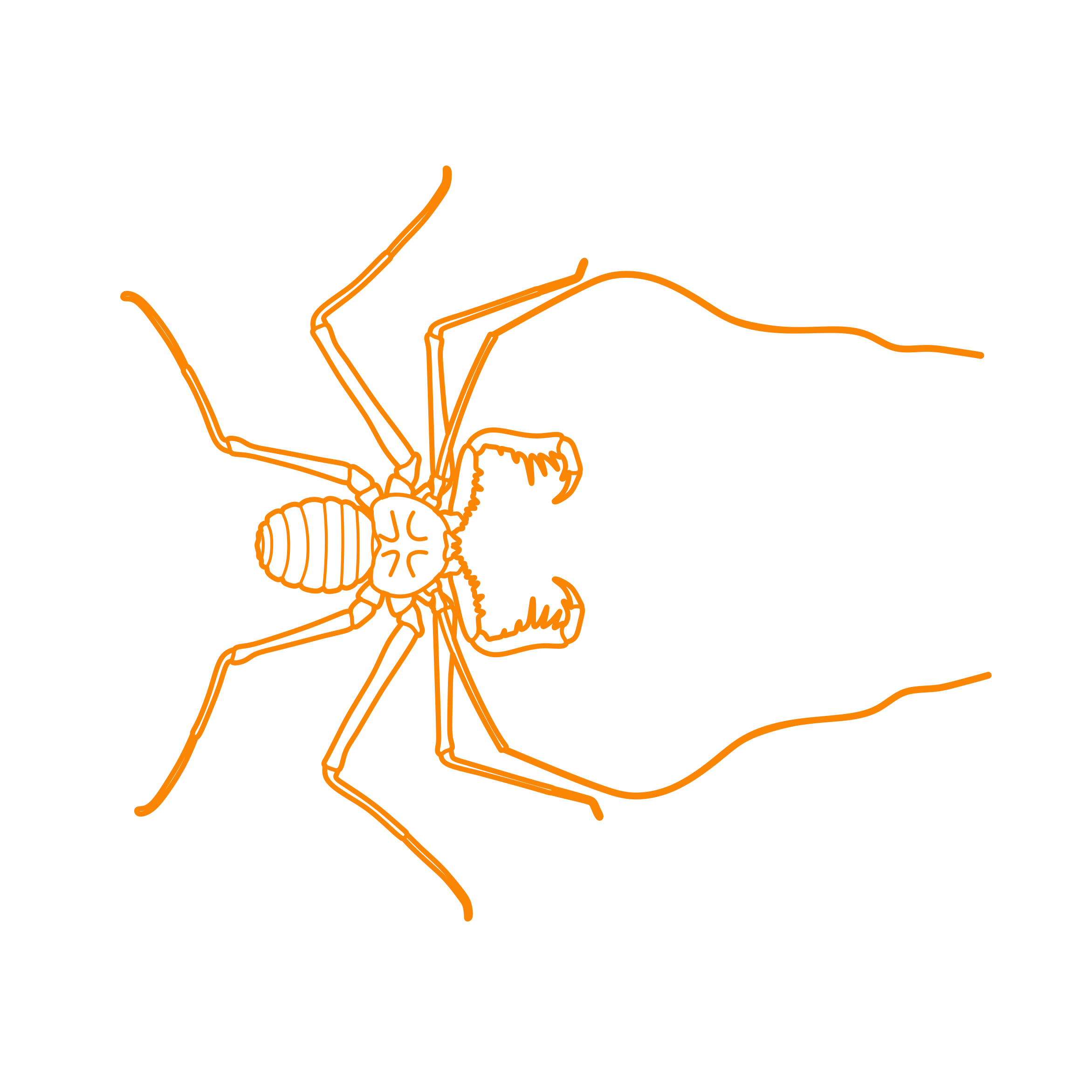 Animals Arachnids Tailless Whip Scorpion Stencil Svg Vector Free Vectors